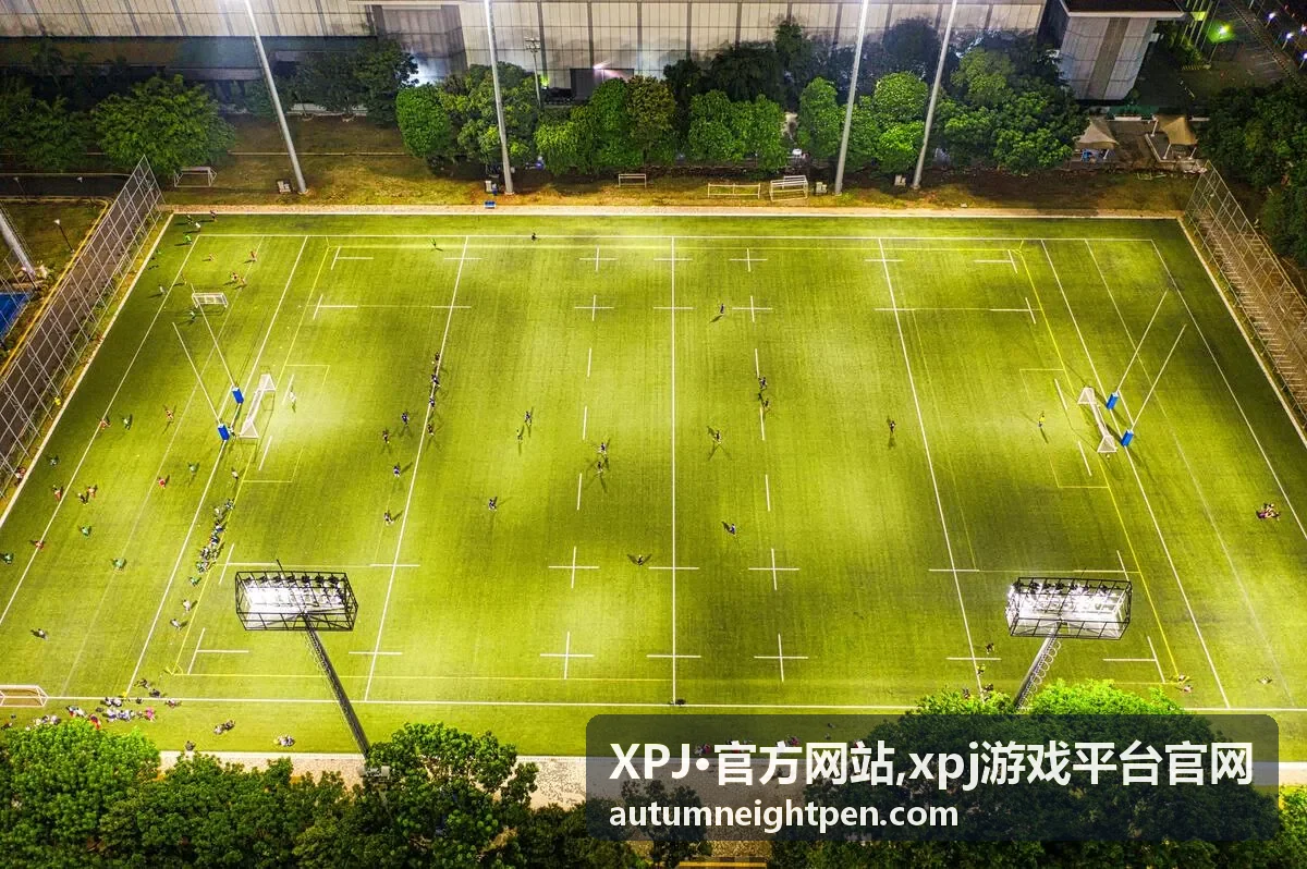 XPJ·官方网站访问指引提示图